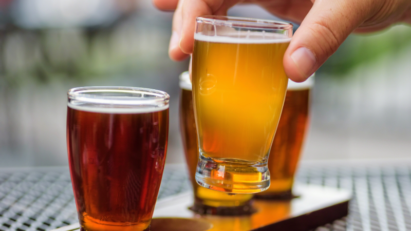 Don't Miss These Fall 2024 Events Around the Alabama Gulf Coast | Bellator